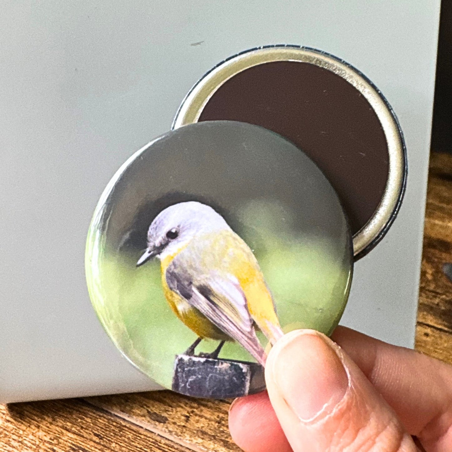 ROUND MAGNETS - Attraxionmagnets