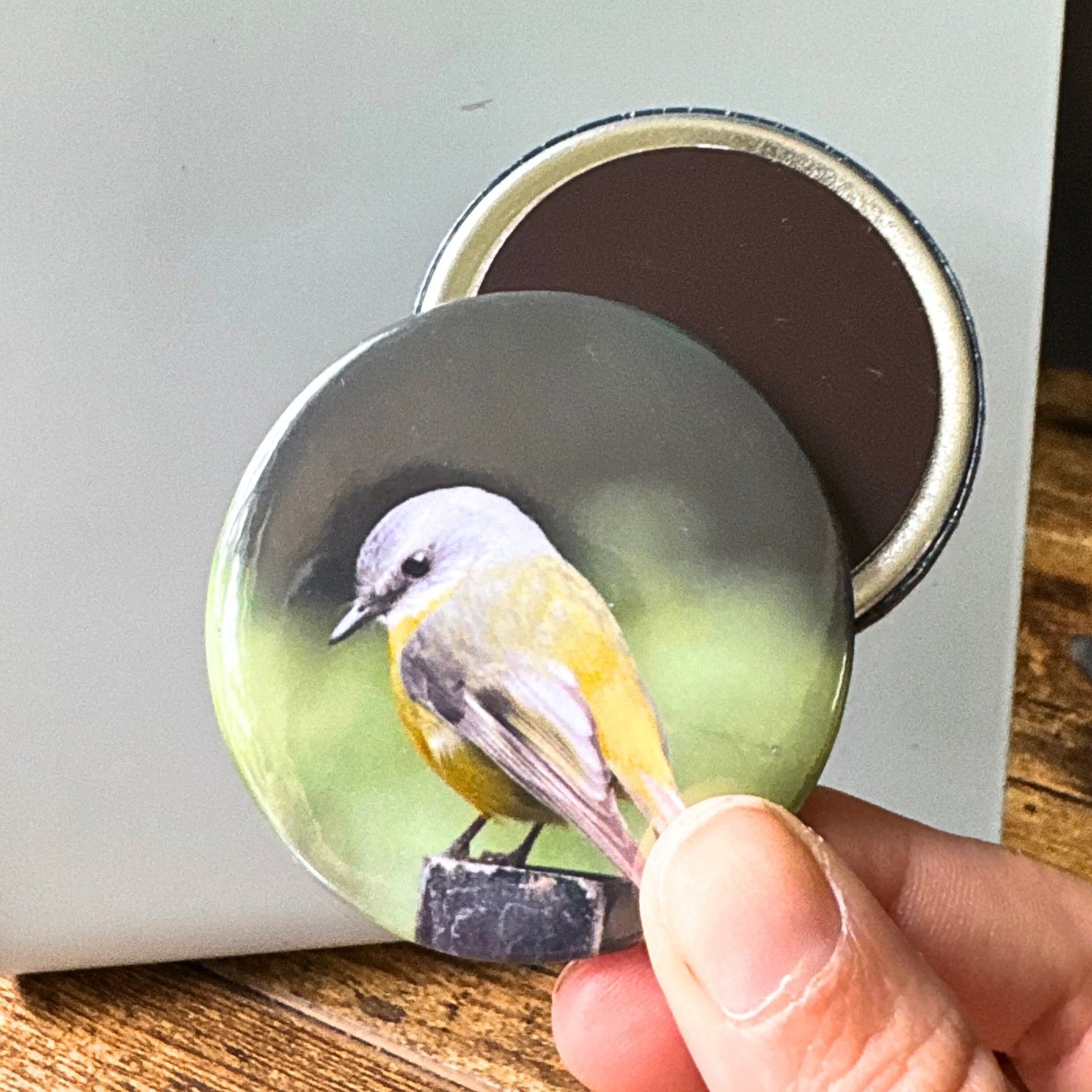 ROUND MAGNETS - Attraxionmagnets