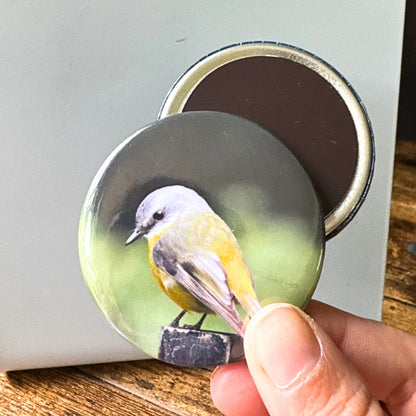 ROUND MAGNETS - Attraxionmagnets